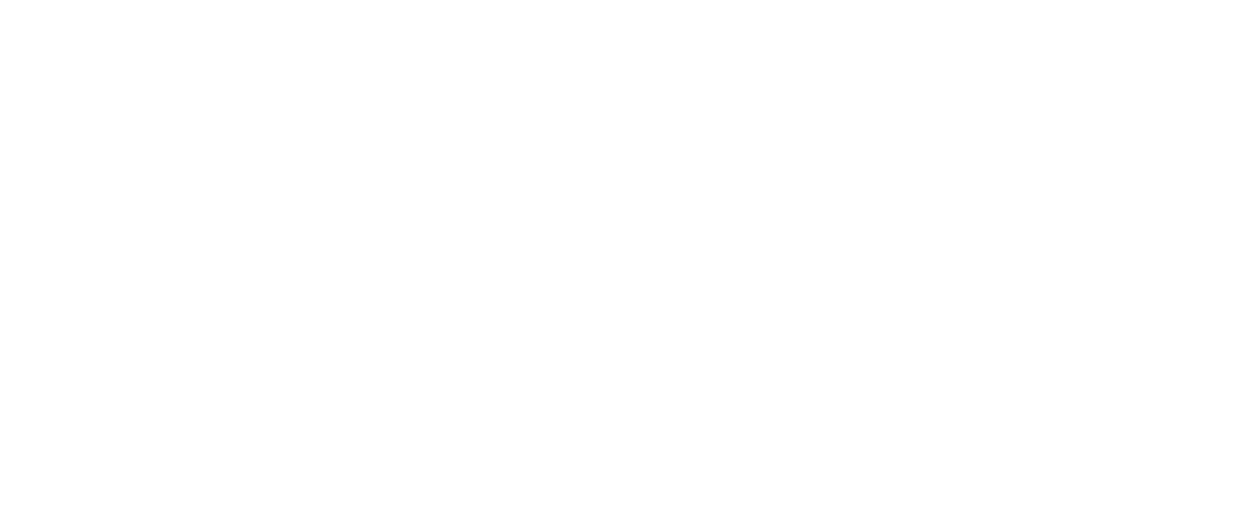 Intimate Wedding_Logo 2024_Bianco noborder